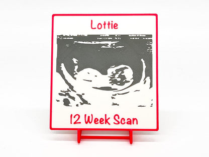 3D Baby Scan Plaque | Pink / Blue